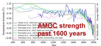 AMOC strength past 1600 years